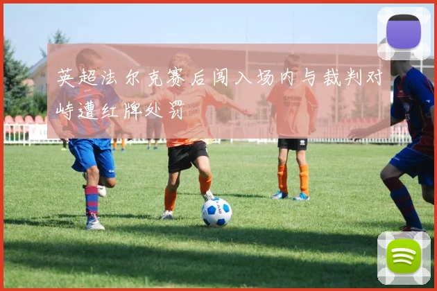 英超法尔克赛后闯入场内与裁判对峙遭红牌处罚