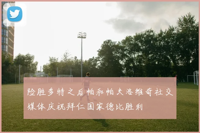 险胜多特之后帕和帕夫洛维奇社交媒体庆祝拜仁国家德比胜利