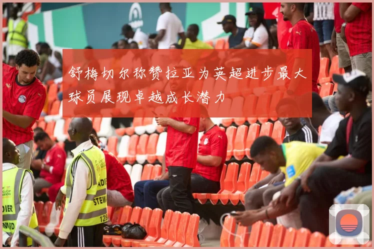 舒梅切尔称赞拉亚为英超进步最大球员展现卓越成长潜力