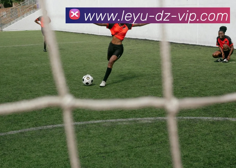 乐鱼体育品牌故事